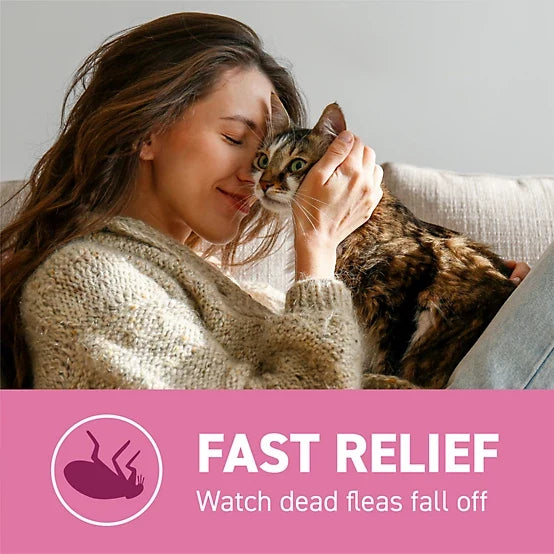 Capstar Oral Flea Treatment Tablets for Cats, 6 ct.