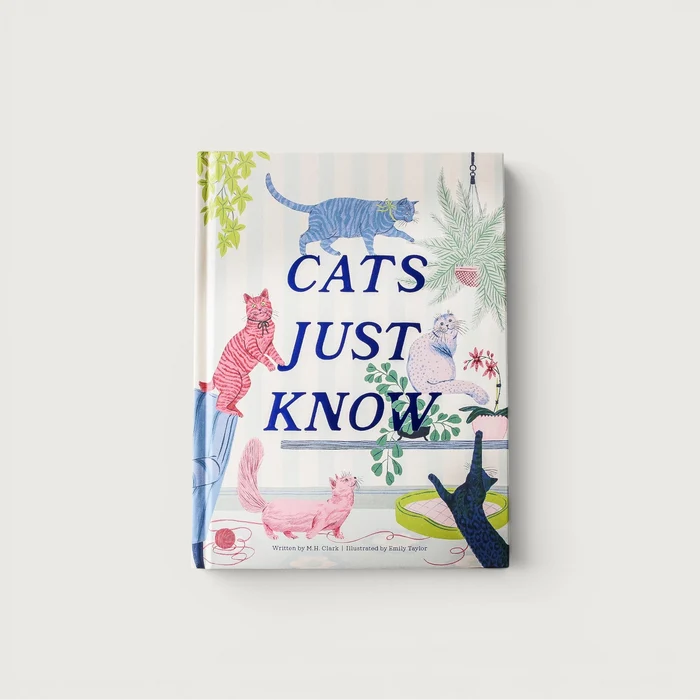 Cats Just Know