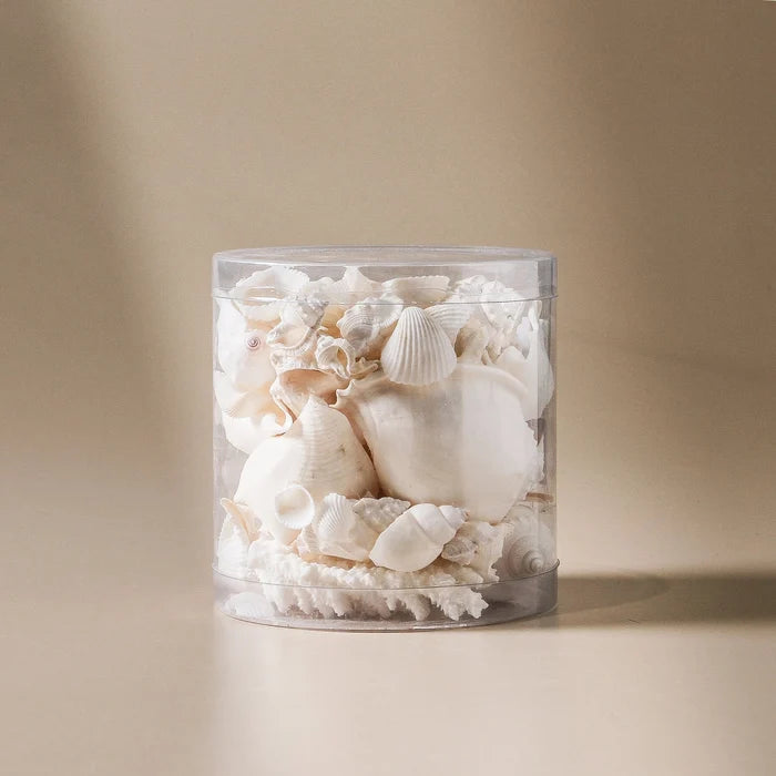 Coral cylinder 1500ml white - Few and Far - Decorative Objects