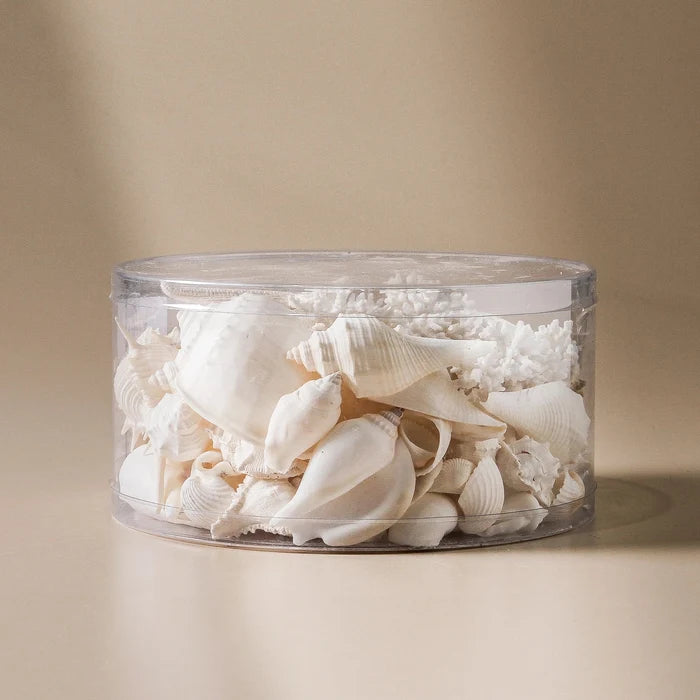 Coral Cylinder 3000ml White - Few and Far - Decorative Objects