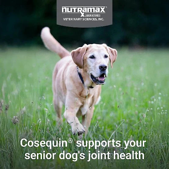 Cosequin Senior Joint Health Dog Supplment, 60 ct.
