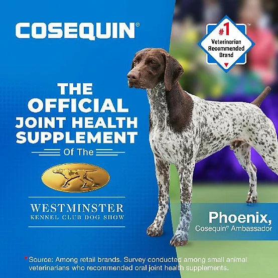 Cosequin Senior Joint Health Dog Supplment, 60 ct.