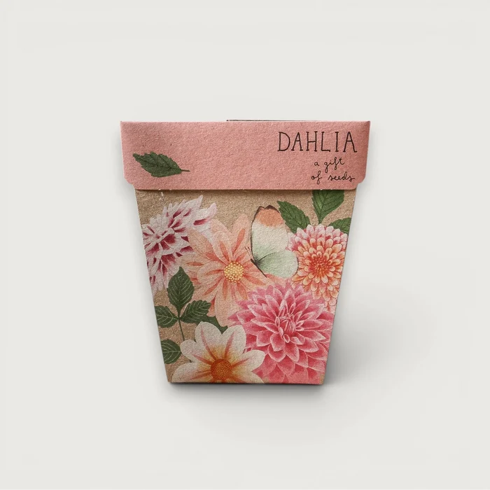 Dahlia Gift of Seeds