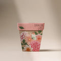 Dahlia Gift of Seeds - Few and Far - Gifts