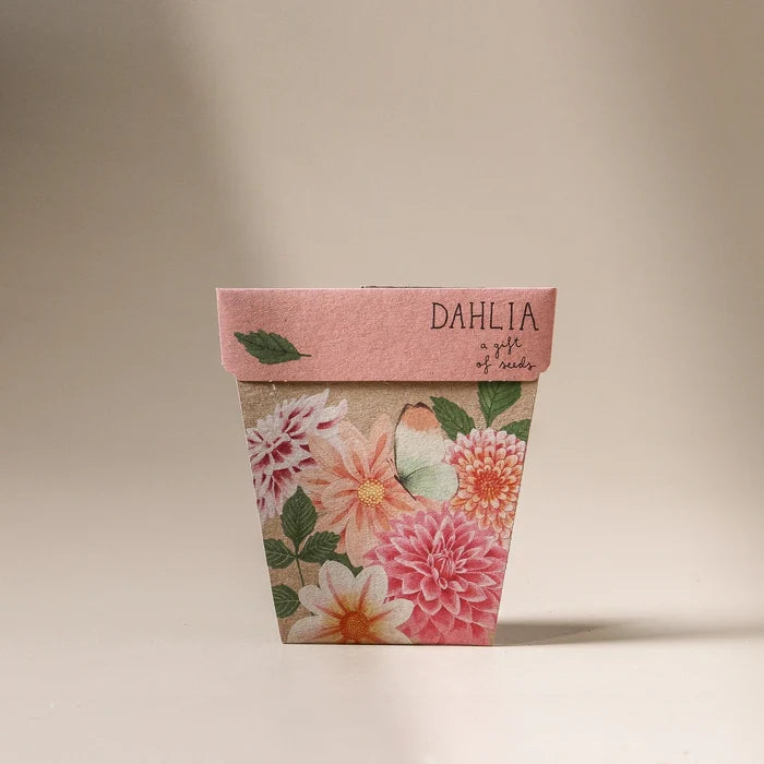 Dahlia Gift of Seeds - Few and Far - Gifts