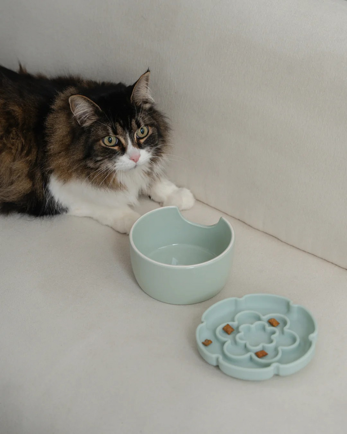 Dexypaws Sage Green Elevated Flower Cat Slow Feeder