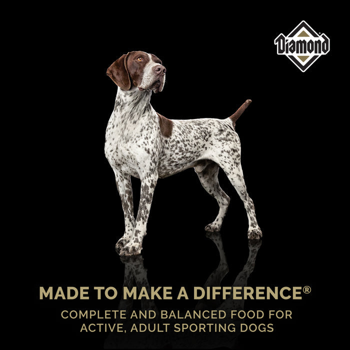 Diamond High Energy Adult Chicken Formula Dry Dog Food, 50 lb. Bag