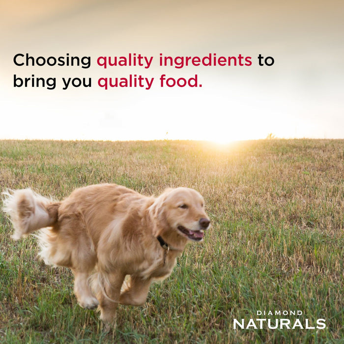 Diamond Naturals Adult Beef Meal and Rice Formula Dry Dog Food, 40 lb. Bag