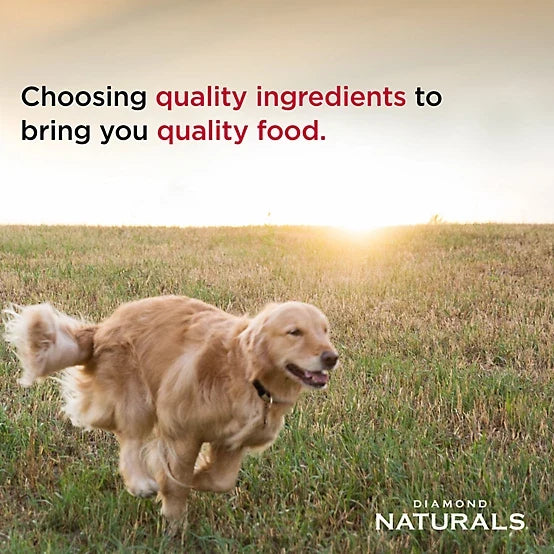 Diamond Naturals Adult Lamb Meal and Rice Formula Dry Dog Food, 40lbs