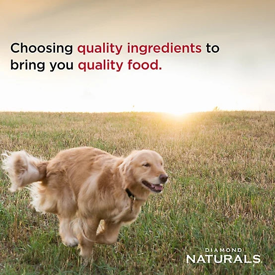 Diamond Naturals Large Breed Puppy Lamb and Rice Formula Dry Dog Food, 40lbs