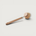 Dish Brush Fibre