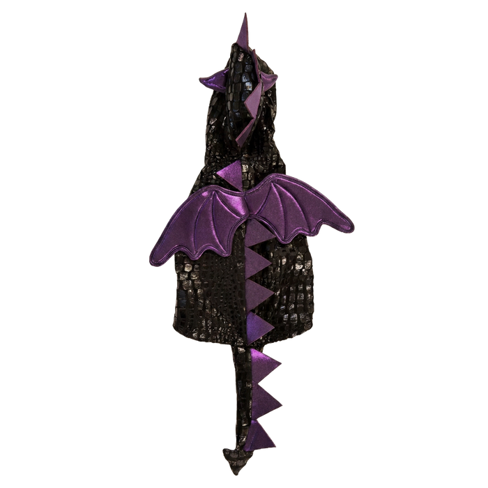 DRAGON COSTUME