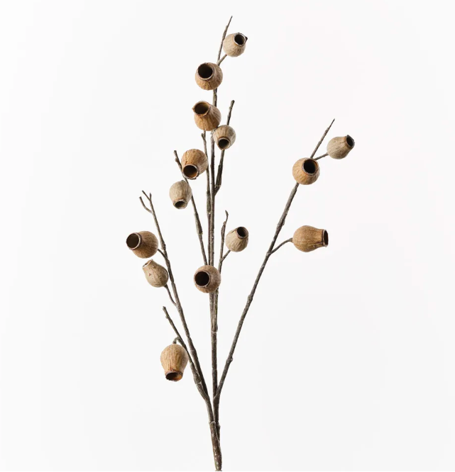 Eucalyptus Pod Spray - Natural 86cm