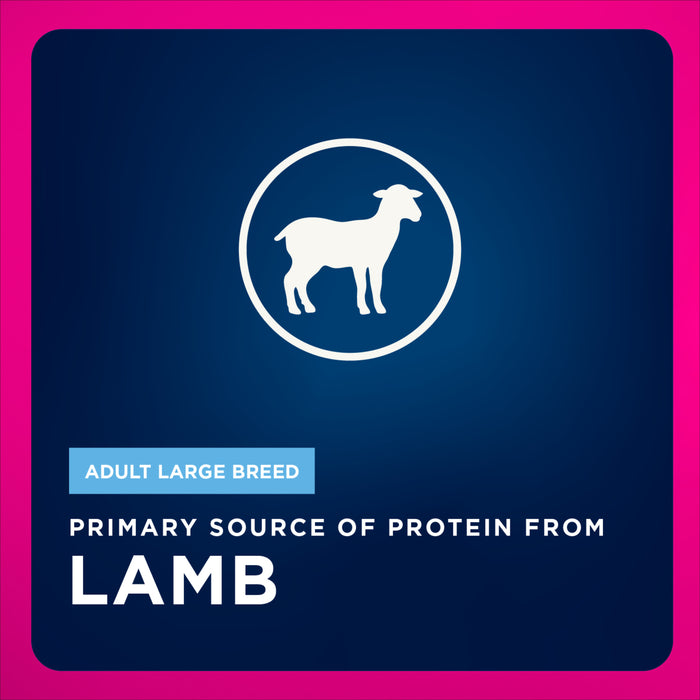 Eukanuba Adult LP Lamb 1st Ingredient Large Breed Dry, 33 lb