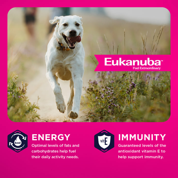 Eukanuba Adult LP Lamb 1st Ingredient Large Breed Dry, 33 lb