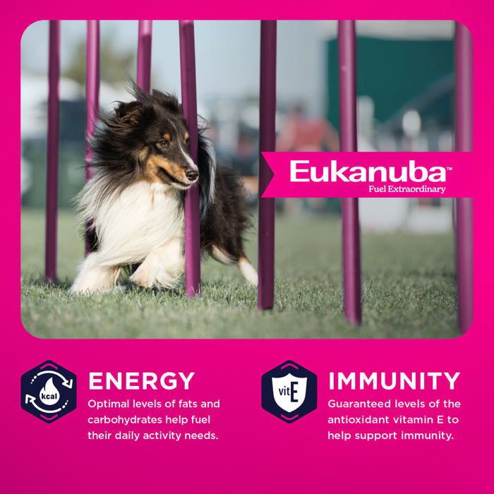 Eukanuba Adult LP Lamb 1st Ingredient Small & Medium Breed Dry Dog Food, 33 lb