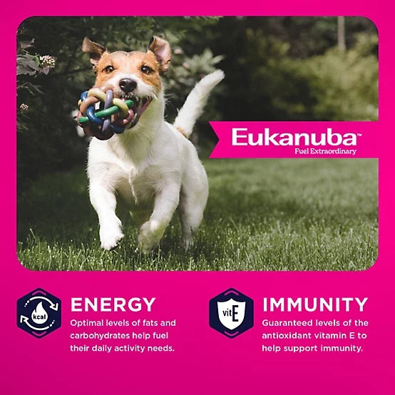 Eukanuba Adult Medium Breed Small Bites Chicken Dry Dog Food, 35lb