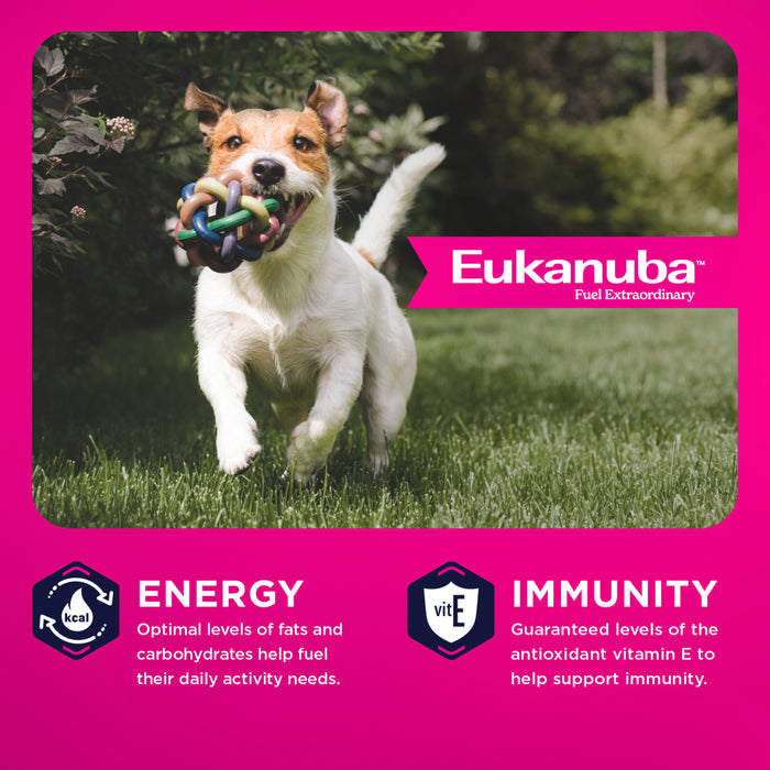 Eukanuba Adult Small Bites Dry Dog Food, 15 lb