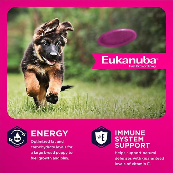 Eukanuba Puppy Large Breed Chicken Formula Dry Dog Food, 33lb