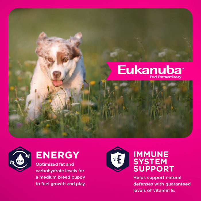 Eukanuba Puppy Medium Breed Dry Dog Food, 33 lb