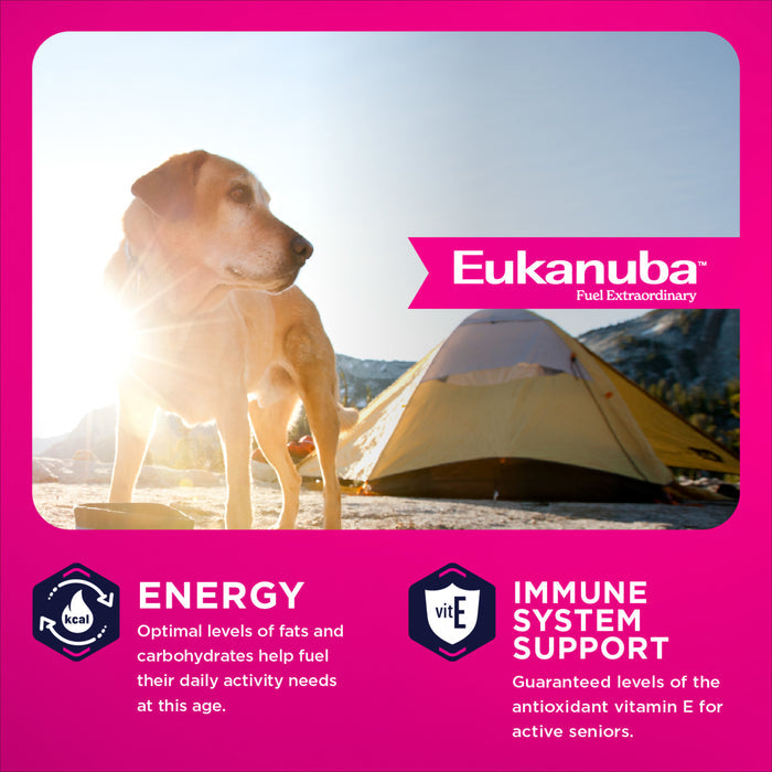 Eukanuba Senior Large Breed Dry Dog Food, 33 lb