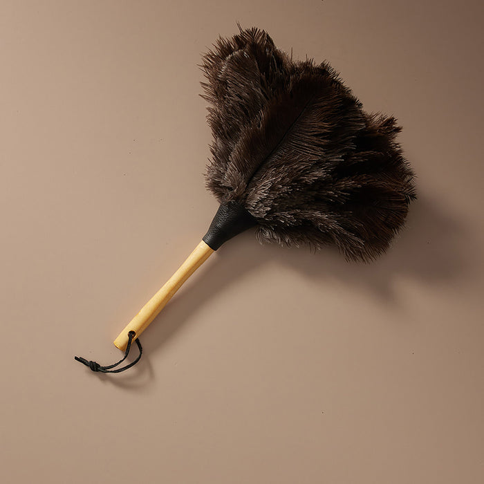 Feather Duster - Brown 350mm