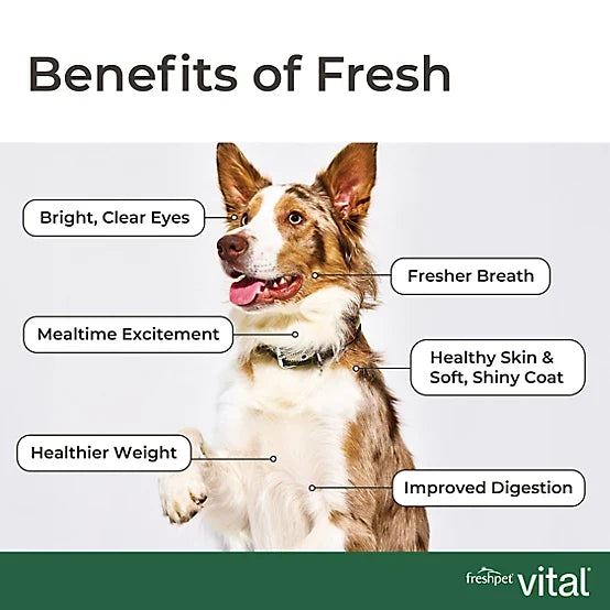 Freshpet Vital, Fresh Dog Food, Chicken Recipe with Peas, Carrots & Brown Rice Roll, 6 lbs.