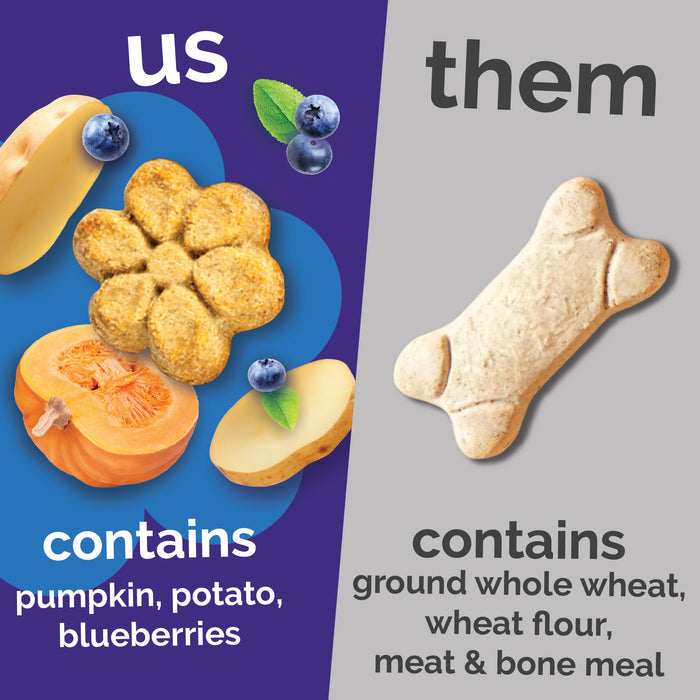 Fruitables Baked Treats Pumpkin & Blueberry 12oz