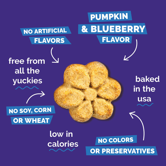 Fruitables Baked Treats Pumpkin & Blueberry 12oz