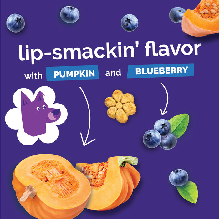 Fruitables Baked Treats Pumpkin & Blueberry 12oz