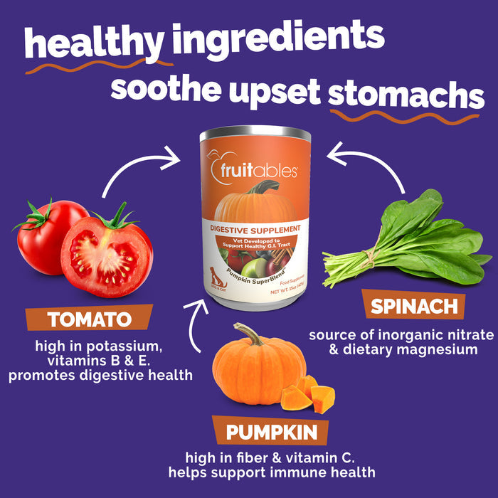Fruitables Pumpkin Digestive Supplement 15oz