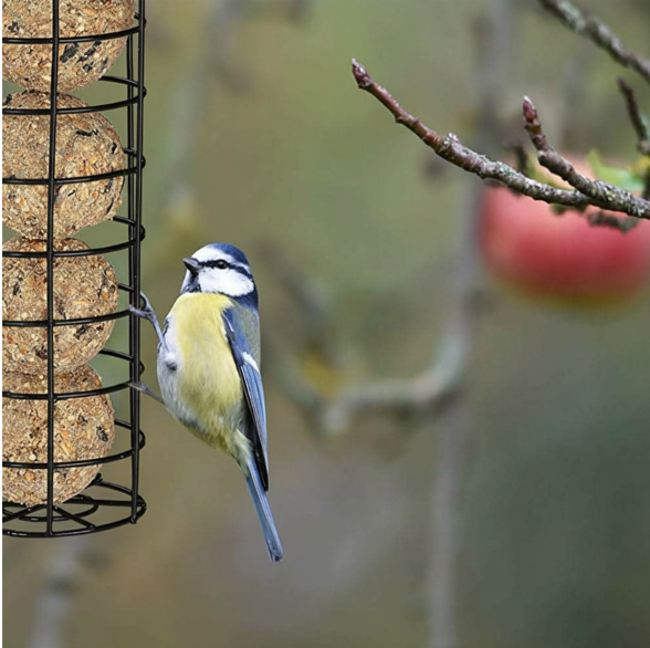 Garden & Fun Tube Feeder for Suet Balls, by A&E Cage Co