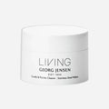 Georg Jensen Living Carafe and Pitcher Cleaner