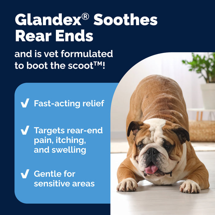 Glandex Advanced Vet Strength Anal Gland Health Spray for Dogs & Cats, 4 fl. oz.
