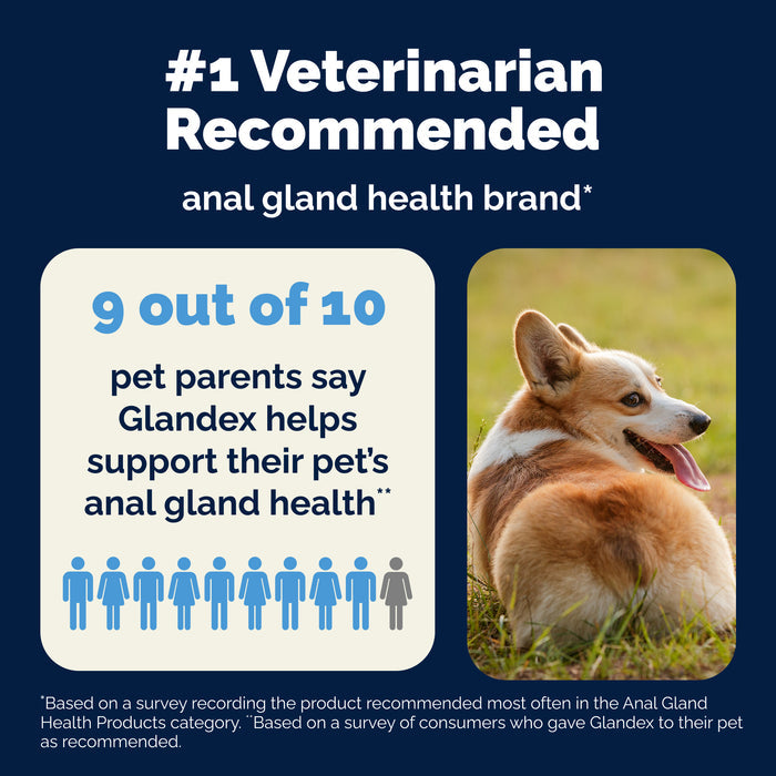 Glandex Advanced Vet Strength Anal Gland Health Spray for Dogs & Cats, 4 fl. oz.