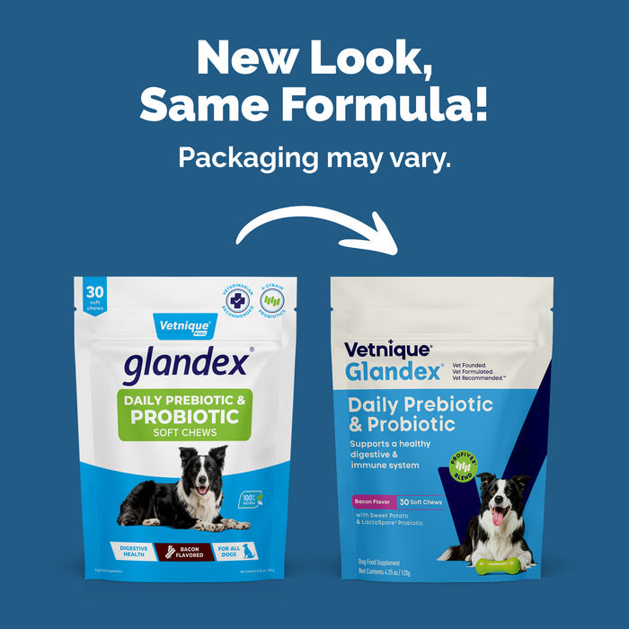 Glandex Daily Prebiotic & Probiotic Soft Chews, 30 ct
