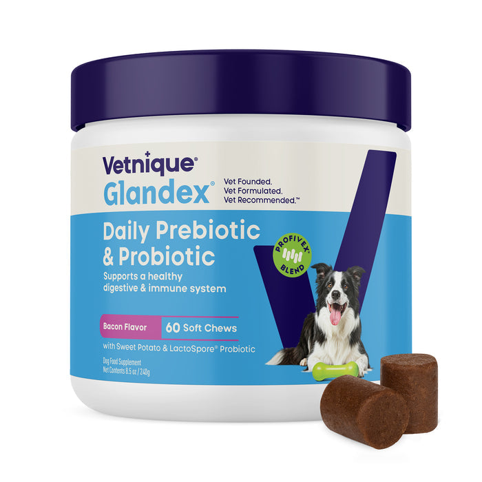 Glandex Daily Prebiotic & Probiotic Soft Chews, 60 ct