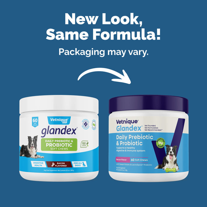 Glandex Daily Prebiotic & Probiotic Soft Chews, 60 ct