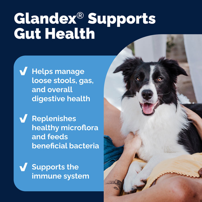 Glandex Daily Prebiotic & Probiotic Soft Chews, 60 ct