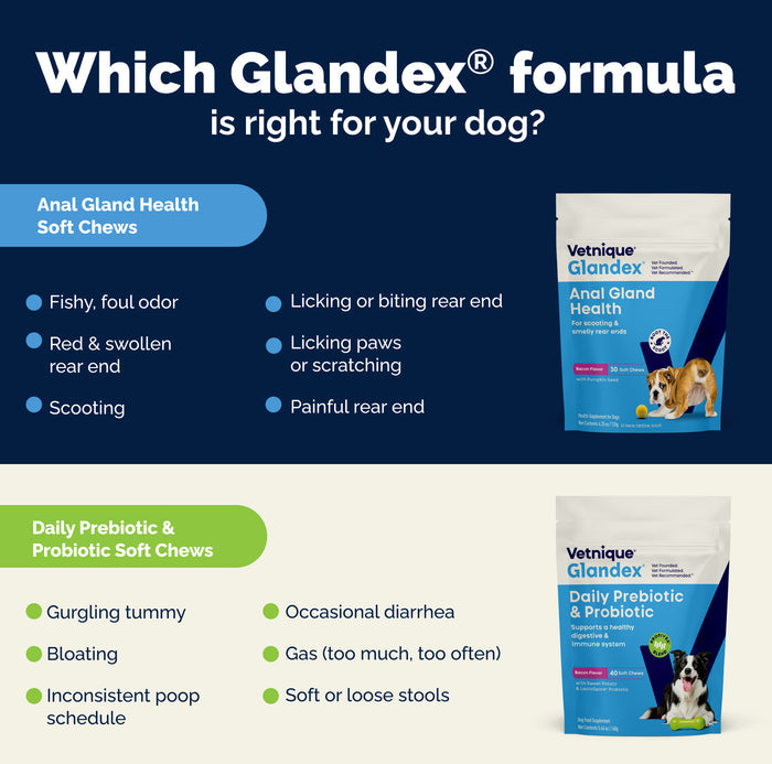 Glandex Daily Prebiotic & Probiotic Soft Chews, 60 ct