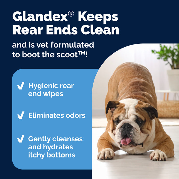Glandex Rear-End Hygiene Wipes, 75 ct