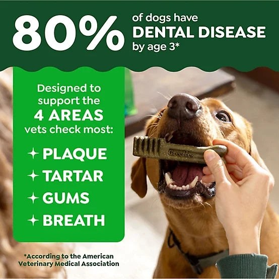 Greenies Dental Dog Treats for Large Dogs 50-100 lb.
