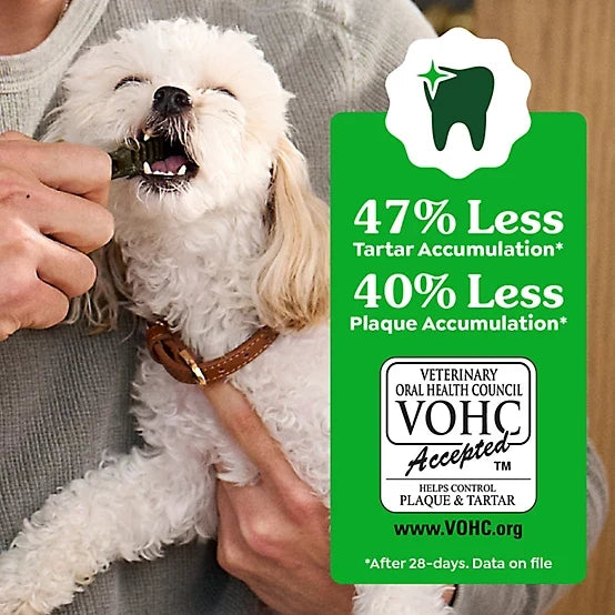 Greenies Dental Dog Treats for Regular Dogs 25-50 lb.
