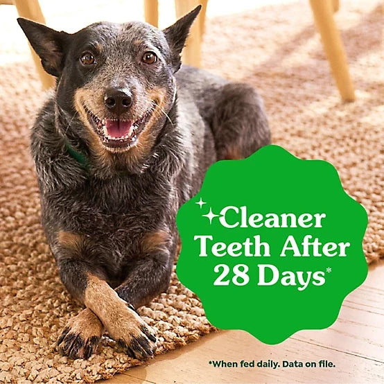 Greenies Large Natural Dog Dental Treats, Sweet Potato Flavor, 12 oz.