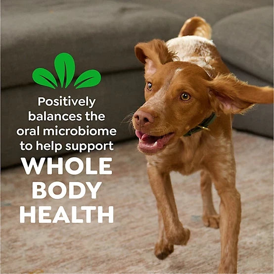 Greenies Original TEENIE Natural Dental Care Dog Treats, 54 oz., 192 ct.