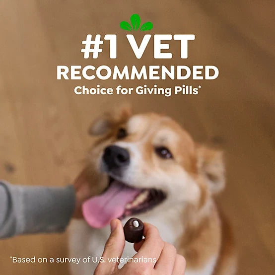 Greenies Pill Pockets Peanut Butter Flavor Pill Hiding Treats for Dogs