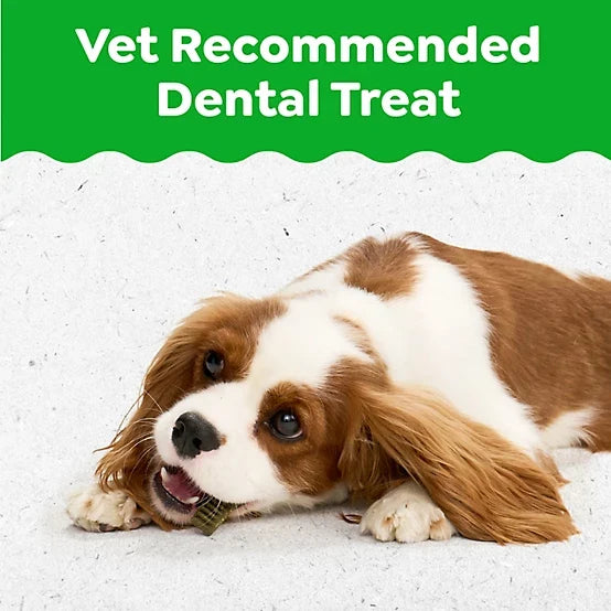 Greenies Puppy Petite Size Natural Dental Dog Treats, 12 oz.