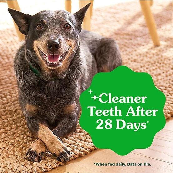 Greenies Puppy Regular Size Natural Dental Dog Treats, 12 oz.