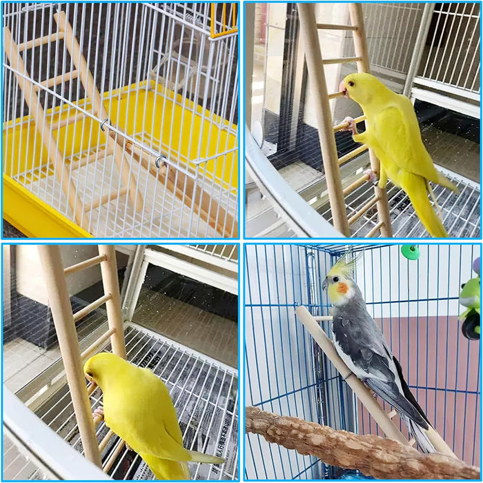 Happy Beaks 12" Small Ladder, 1/2" Diameter, by A&E Cage Co