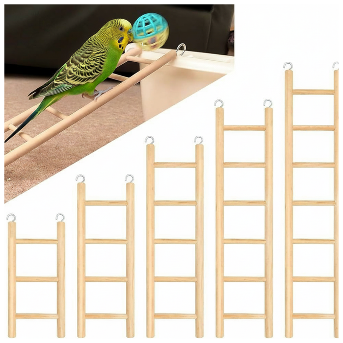 Happy Beaks 12" Small Ladder, 1/2" Diameter, by A&E Cage Co